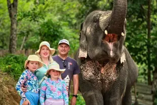 Ethical Elephant Sanctuary